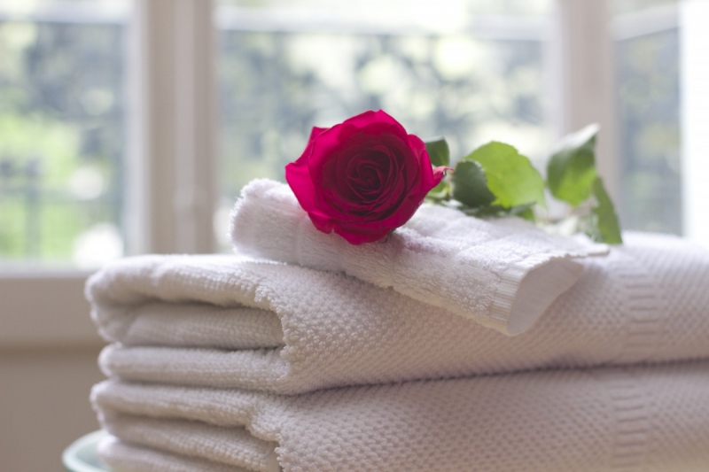 hotel-TOUET DE L ESCARENE-min_towel_rose_clean_care_salon_spa_white_bath-731641